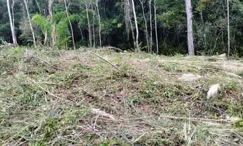 Imagem 5: Excelente terreno para sítio ou investimento