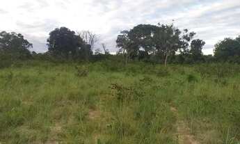 Imagem 3: Fazenda Goiás São João da Aliança