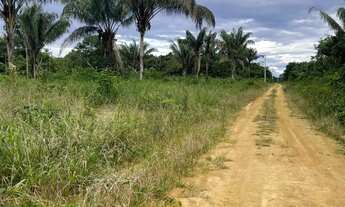 Imagem 3: Sítio a venda Chácara com venda por R$120.000