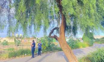 Imagem 4: APARECIDA DE GOIÂNIA-ÁREA ANEL VIÁRIO