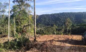 Imagem 5: Terreno Espaçoso com Fácil Acesso