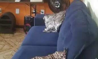 Imagem 7: Aluguel Casa Temporada Ilhéus/Ba. A 7min da Praia