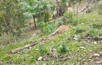 Imagem 5: Super 2,2 hectares 3 lagos casa sede 1km da rodovia 220 mil reais