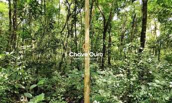 Imagem 5: Um Verdadeiro Paraíso, Sitio, Chácara um Paraíso 15 minutos de Cascavel