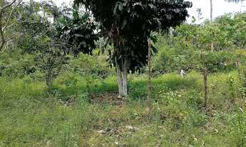 Imagem 3: Vendo Terreno / lote com venda por R$30.000