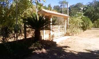 Imagem 3: Fazenda/Sítio/CháVende-se este sítio de 19.800 mil M2 Escriturado Pedra Lisa Município de