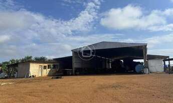 Imagem 4: FAZENDA COM 960 HECTARES, 551 PLANTACAO DE SOJA