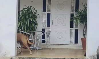 Imagem 7: Casa para Venda em João Pessoa, Altiplano Cabo Branco, 3 dormitórios, 1 suíte, 1 banheiro