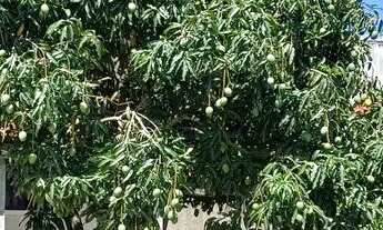 Imagem 2: Aluguel temporada