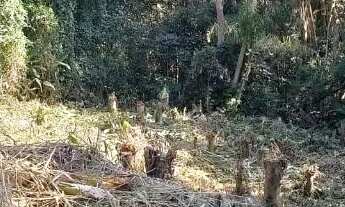 Imagem 5: Terreno à venda, 598 m² por R$ 250.000,00 - Vila Verde - Itapevi/SP