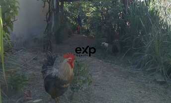 Imagem 5: Casa à Venda no Bairro Bandeirantes Linear terreno 1000mts