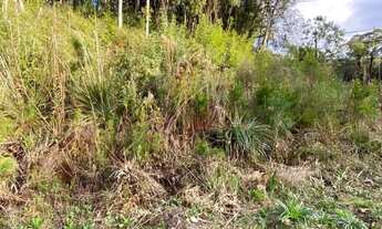 Imagem 4: Terreno à Venda em Canela!