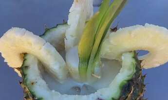 Imagem 5: Férias incríveis em Foz do Iguaçu