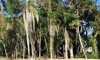 Imagem 6: More ou invista junto à natureza exuberante da ilha!