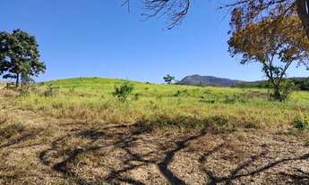 Imagem 4: Fazenda à venda 535 alqueires Vila Propício-GO