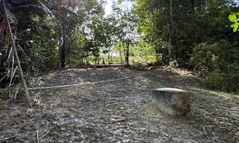 Imagem 4: Vendo sítio na Br 174, ramal São Francisco