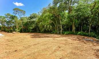 Imagem 2: Lote em Rua Frei Bernardino Tomat - Pilarzinho - Curitiba/PR