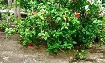 Imagem 4: Casa residencial para Venda em rua pública, Centro, Itaberaba, 3 quartos, 1 sala, 2 banhei