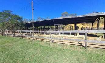 Imagem 4: Haras com três quartos à venda, 480000 m² por R$ 4.000.000 - Zona Rural - Casimiro de Abre