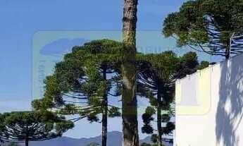 Imagem 5: Terrenos em condomínio fechado localizado em Piraquara/PR