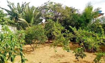 Imagem 2: Vendo Chácara em Chapada Grande