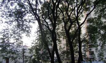 Imagem 6: APARTAMENTO - BARRA FUNDA - SP