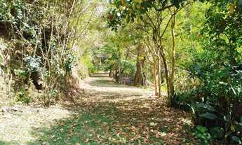 Imagem 5: Chacrinha 36 mil m2 em Piracaia SP