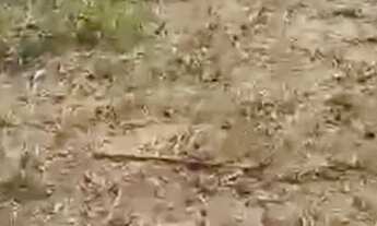 Imagem 2: Terreno no Magalhães, em frente ao clube águas claras