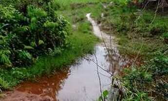 Imagem 5: Uma Fazenda em Parecis-Ro