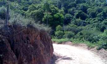 Imagem 7: Fazenda 15 Alqueires em Catuji/MG, a 60 km de Teófilo Otoni-MG