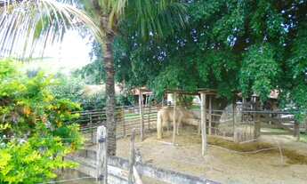 Imagem 3: Excelente sítio e barato no bairro do Caju - Maricá
