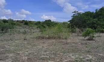 Imagem 8: Excelente Fazenda com 150 hectares na região de São Gonçalo do Amarante