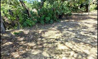 Imagem 5: TERRENO PLANO CENTRO CANAS SP