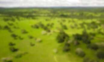 Imagem: Fazenda Santa