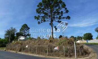 Imagem: Terreno - Ronda