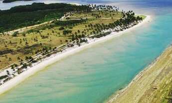 Imagem: DT-5 Muro Alto, Studio para venda tem 30m²