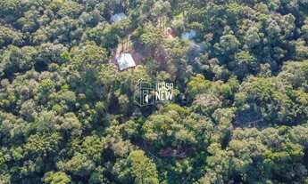 Imagem 5: PIRAQUARA - Chácara - Granjas Eldorado