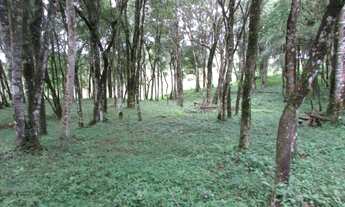 Imagem 6: Terreno para Venda em Colombo, Das Graças, 1 banheiro