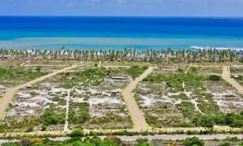 Imagem 7: Excelente Terreno - Praia das Tartarugas - Piscinas Naturais - 630 m² - Oportunidade