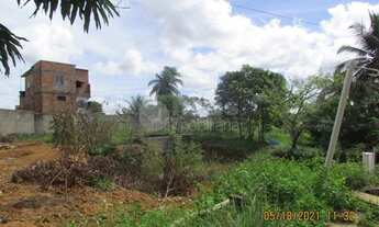 Imagem 6: Terreno à venda com 6.700m² - Vida Nova - Lauro de Freitas