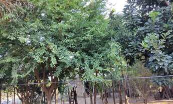 Imagem 3: Chácara em Cesarina - GO. 1.590 metros de Terreno