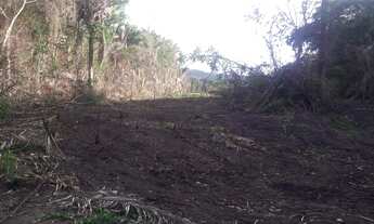 Imagem 6: Sítio chácara Chácara com venda por R$160.000