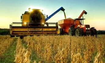 Imagem 4: Fazenda flor de lis ( região de itaubà