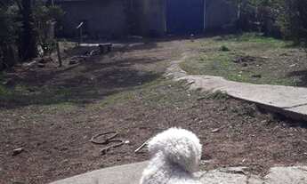 Imagem 5: Terreno 750m² para venda no Pousada do Vale