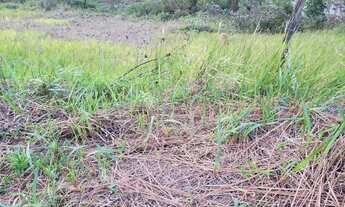 Imagem 2: Terreno na praia Massaguaçu
