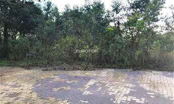 Imagem 2: Terreno a venda no Santo Antão!