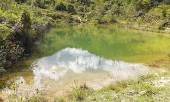 Imagem 3: Fazenda na Bahia: Cacau, Nascentes - Jaguaquara