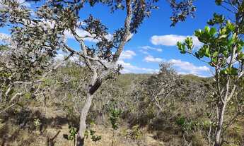 Imagem 7: Terreno com 20.000 metros quadrados com preço a partir de 140.000
