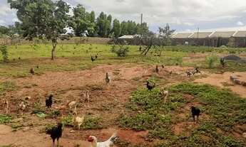 Imagem 2: Lote/Terreno para venda tem 5500 metros quadrados em Chácaras do Abreu - Formosa - GO