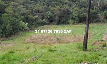 Imagem 2: Lindas chácaras em Ravena de 1.000 mts planas terra de cultura a 800 mts do asfalto